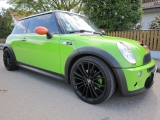 Lime Green!!