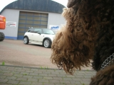 .........ohjeee, Max Fast Vergessen