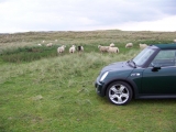 Cooper S Cabrio