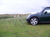 Cooper S Auf Sylt
