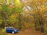 Herbsttag