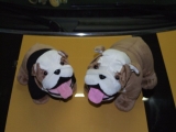 K Dscf6270