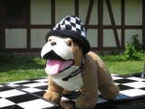 Mops Klein 972047