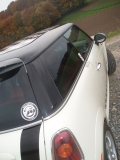 Westfalen 11 2010 2