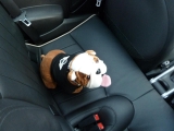 Mein Mini