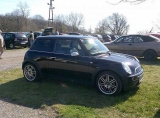 Mini 1 Paint