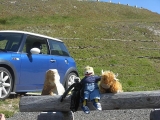 Marcel, Schobi Und Ich