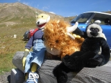 Marcel, Schobi Und Ich