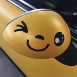 R57 In Hexis Dehliyellow